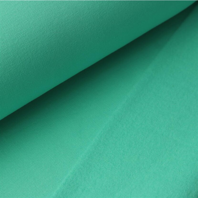 French Terry Brushed Uni - D.Mint